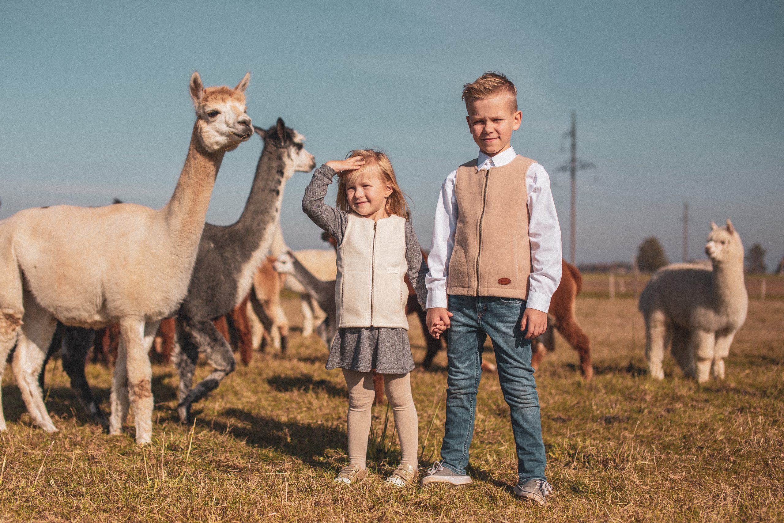 merino vilna vaikams merino vilna kūdikiams